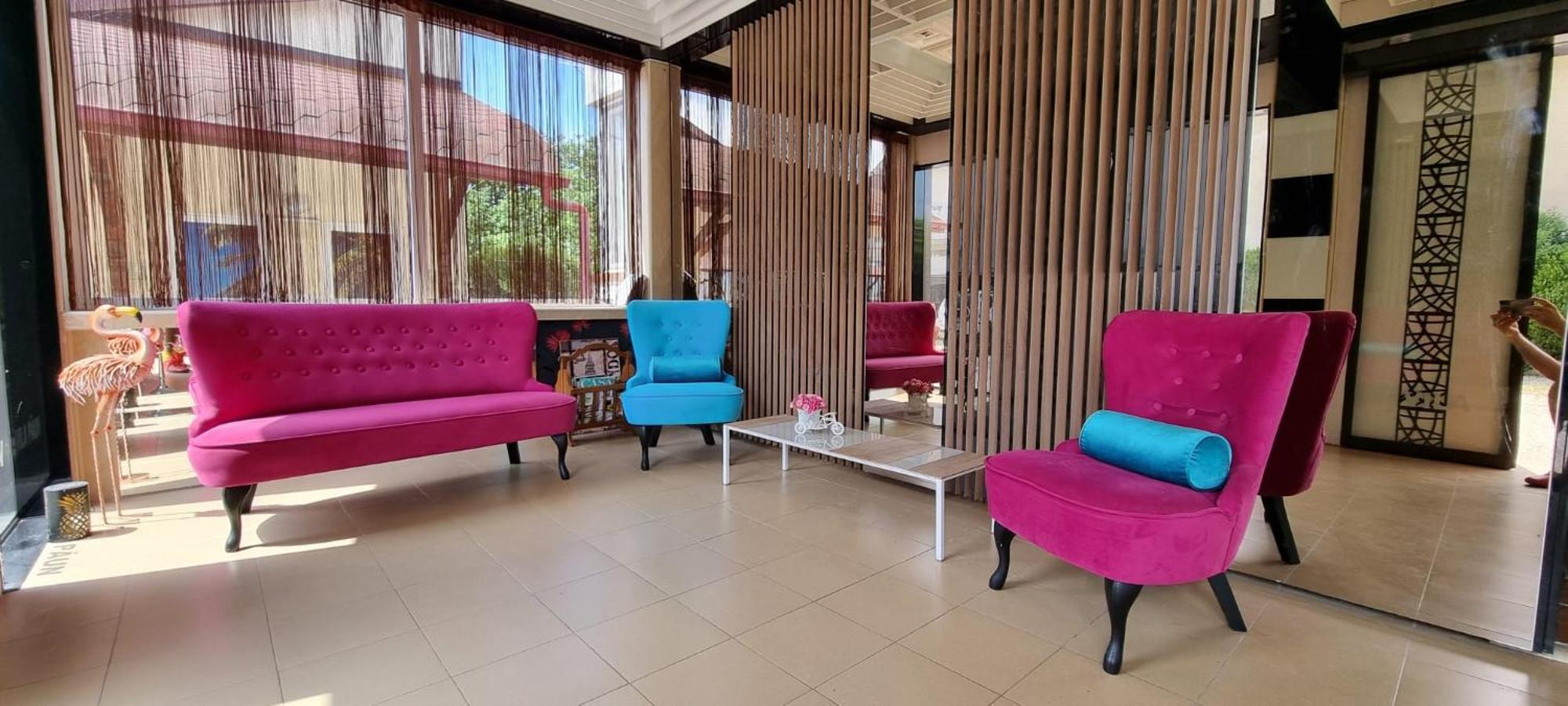 Paun Guest house Costinesti
